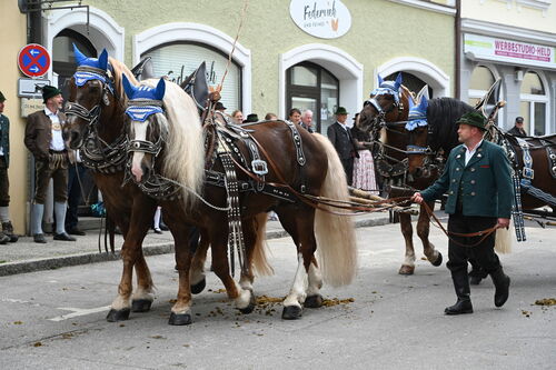 Aufstellung der Gruppen und Reiter Foto 03