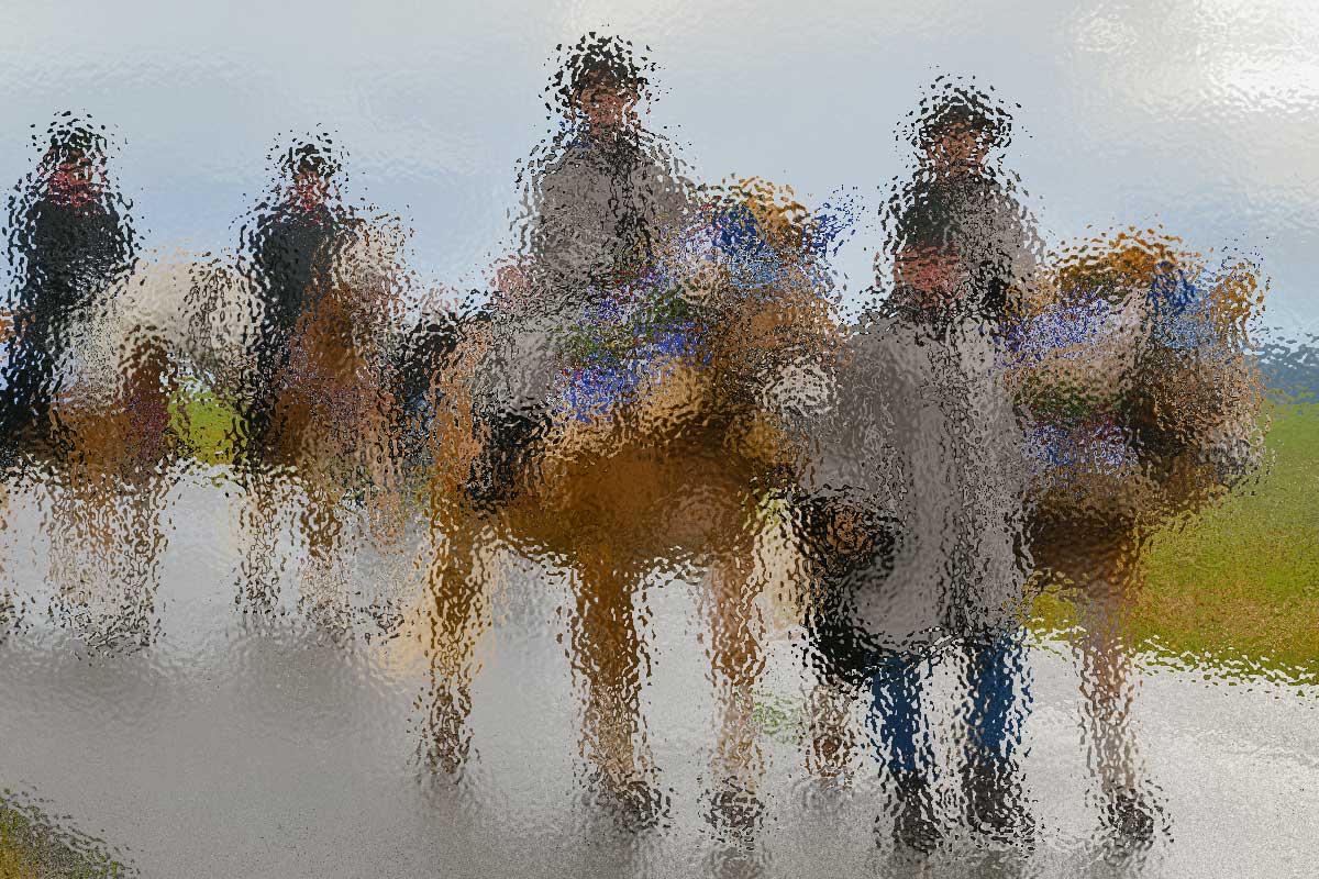 Leonhardiritt in St. Leonhard