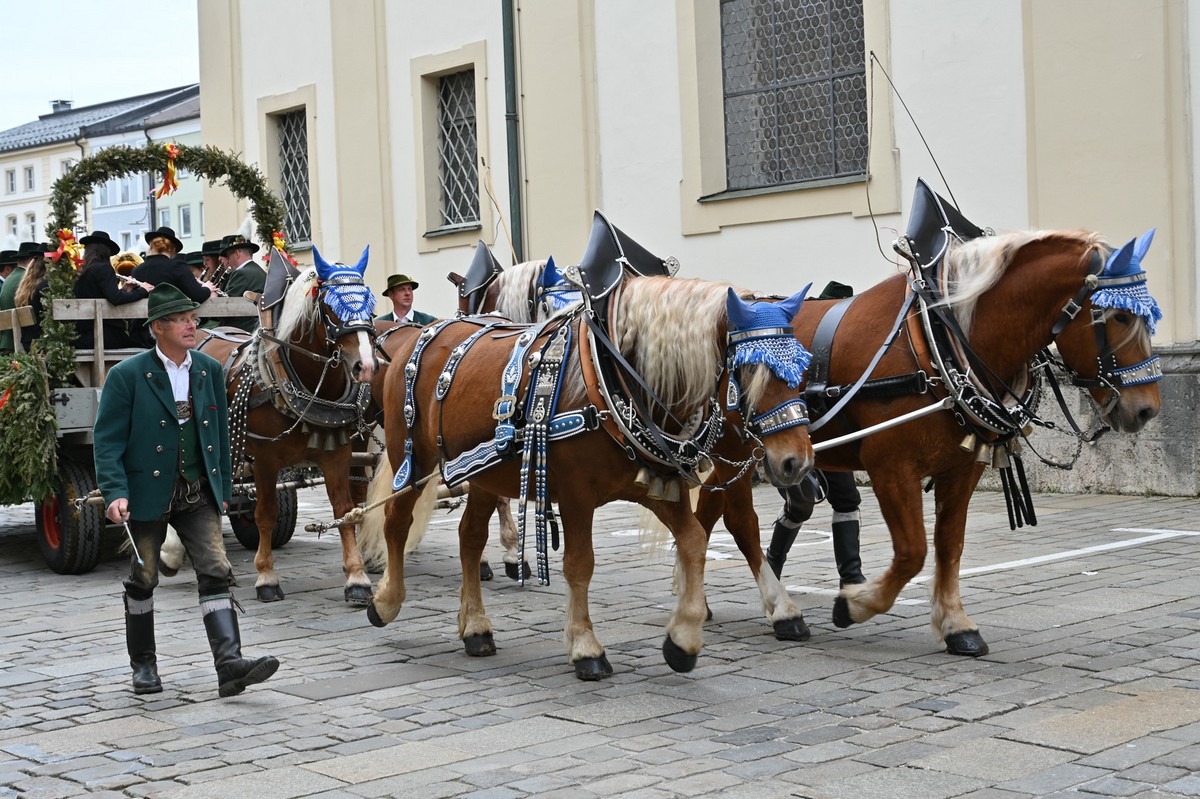 Georgiverein Traunstein Impressionen Foto 19